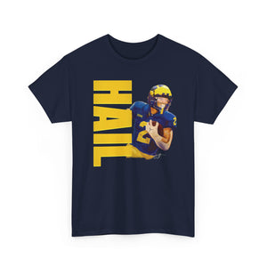 HAIL Football Fans! Unisex Heavy Cotton Tee Larger Painting