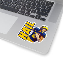 Charger l&#39;image dans la galerie, Stickers &#39;HAIL&#39; Football Fan Decal ~ Various Sizes Available!
