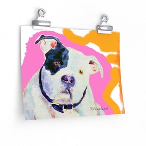 Dog Art Print White Bully, painting by Suzanne